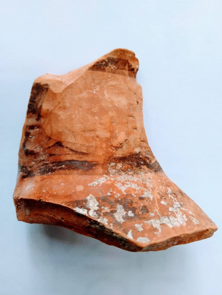 Fragment de monoclu