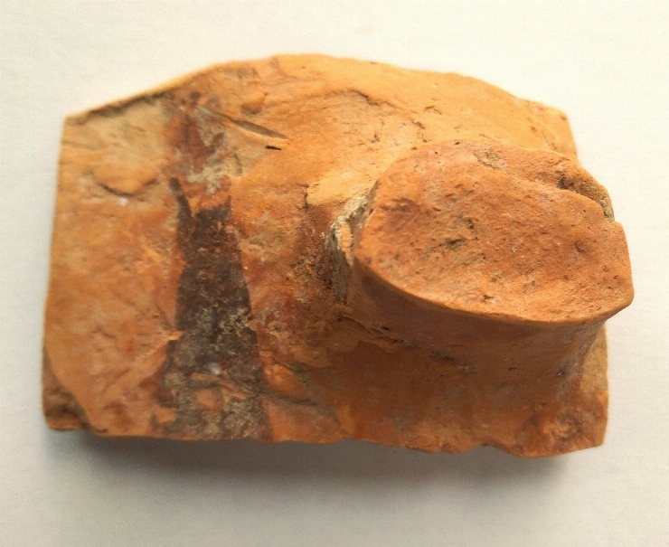 Fragment de oală