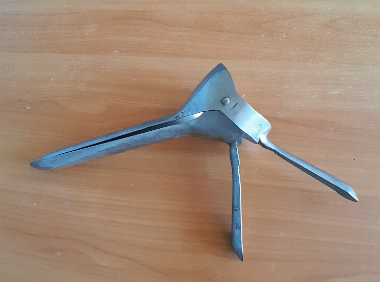 Oglindă endoscopică pentru vite