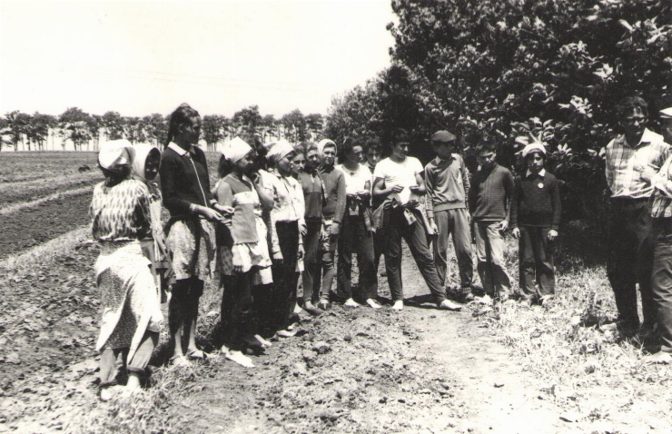 фотография