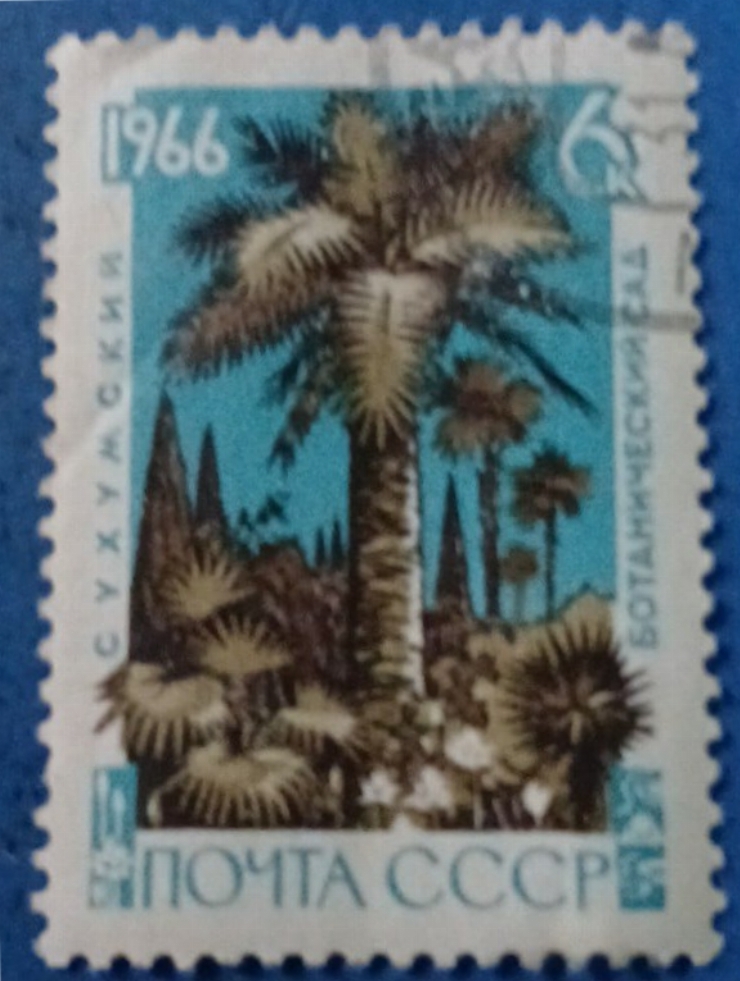 Timbru poștal sovietic - „Grădina Botanică Sukhum”