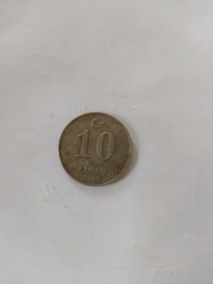 монета