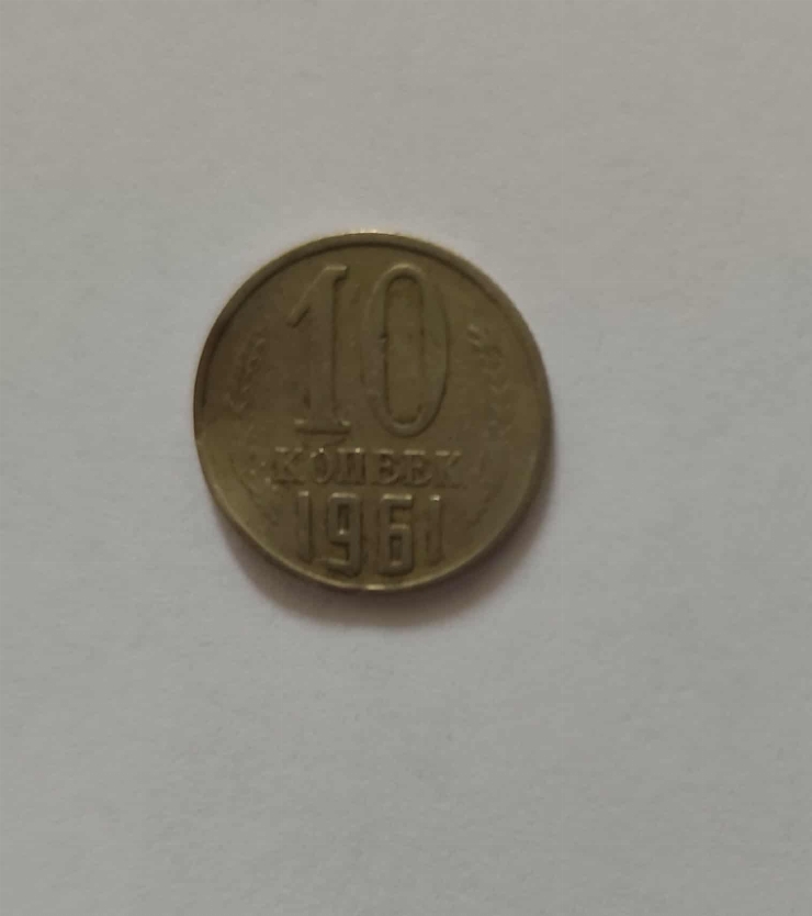 10 copeici 