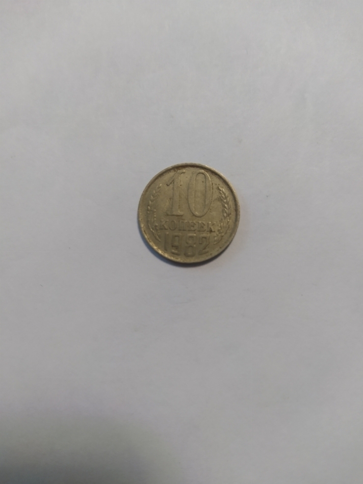 монета