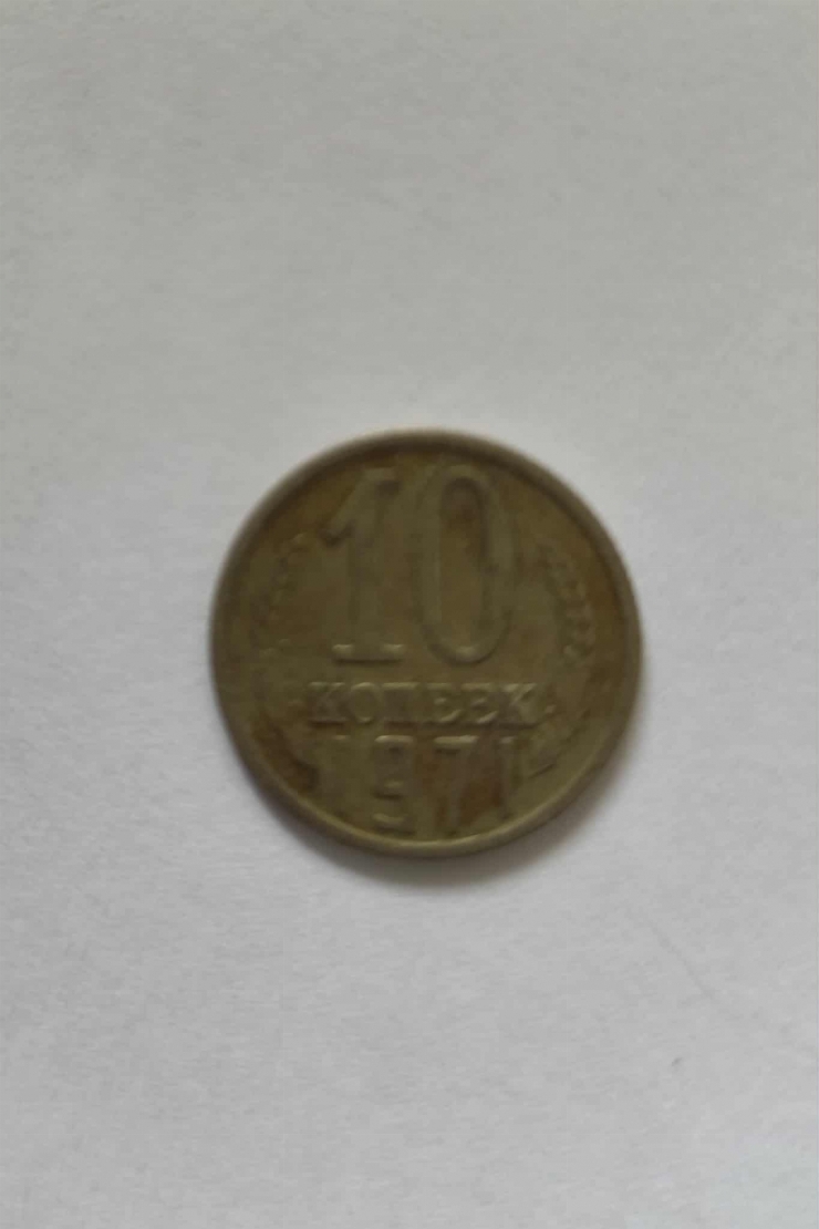 10 copeici 
