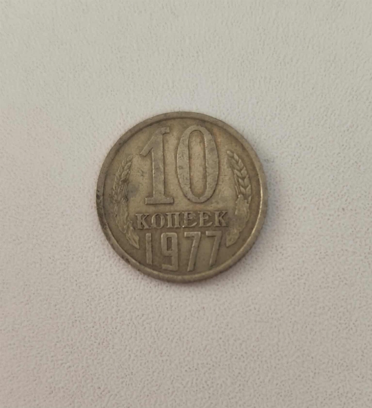 10 copeici 