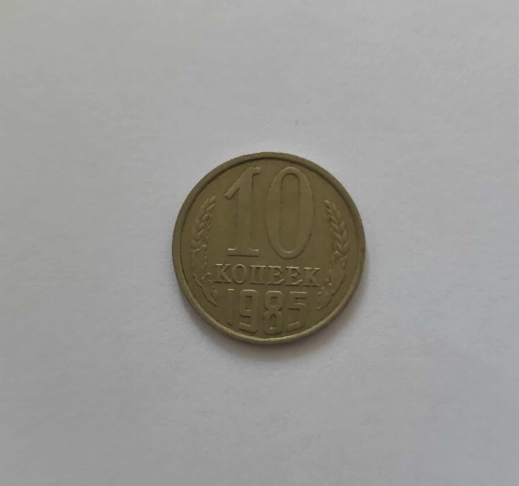 10 copeici 