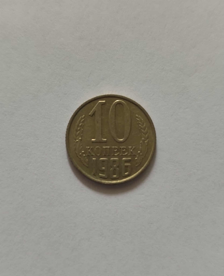 10 copeici 