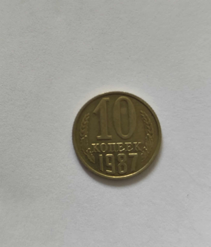 10 copeici 