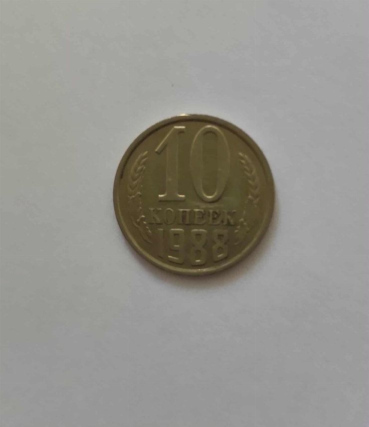 10 copeici 