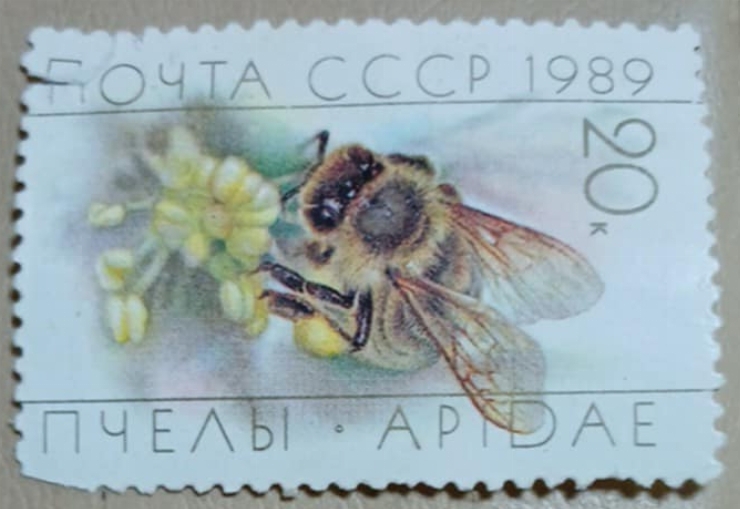 Marcă poștală sovietică -  „Albina pe floare”