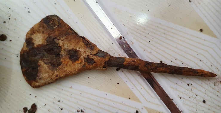 Colecție arhiologică