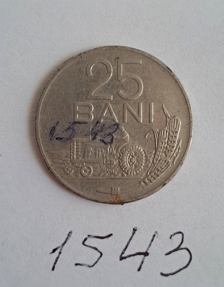 Monedă 25 bani