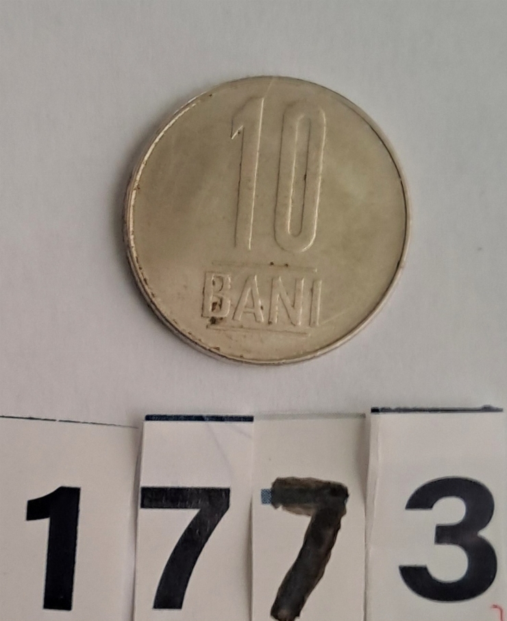 Monedă 10  BANI 