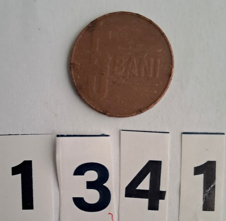 Monedă 5  BANI 