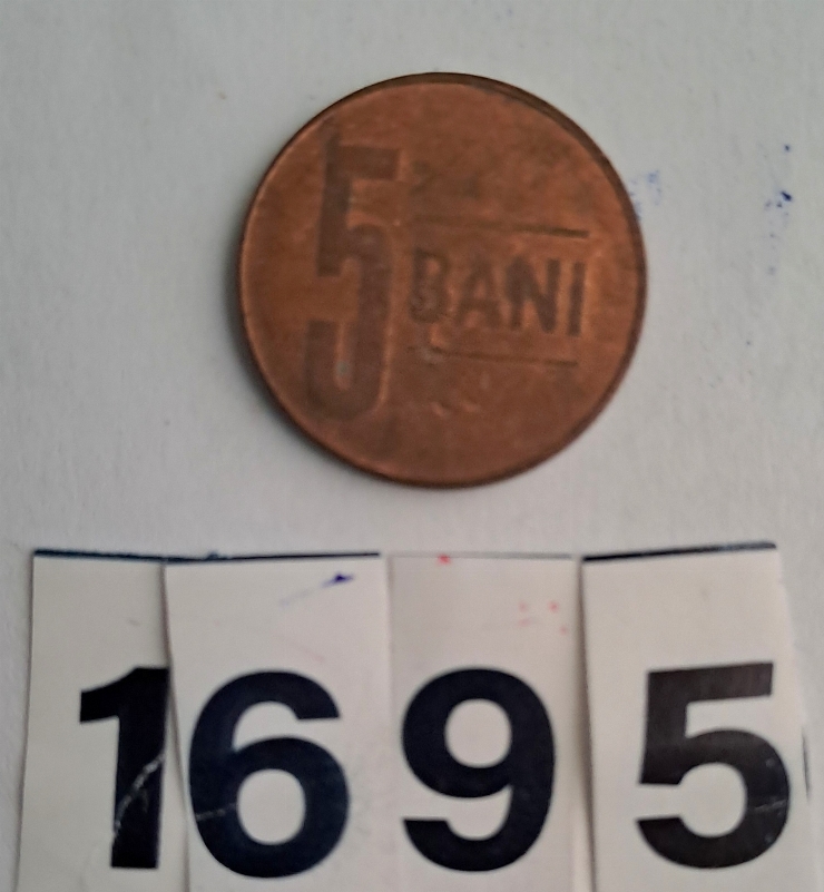 Monedă 5  BANI 