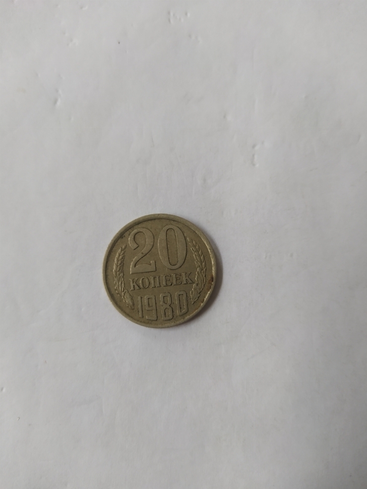 монета