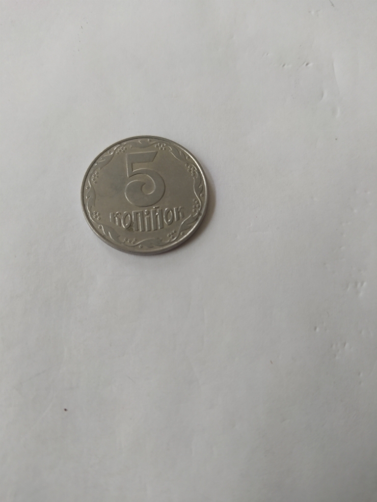 монета