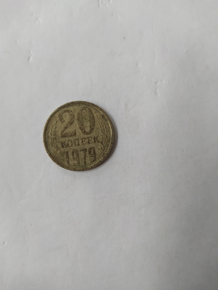 монета