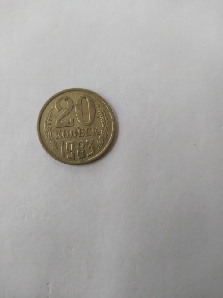 монета