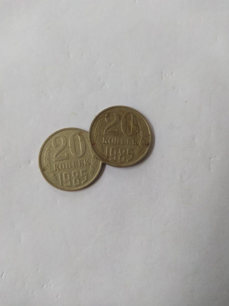 монета