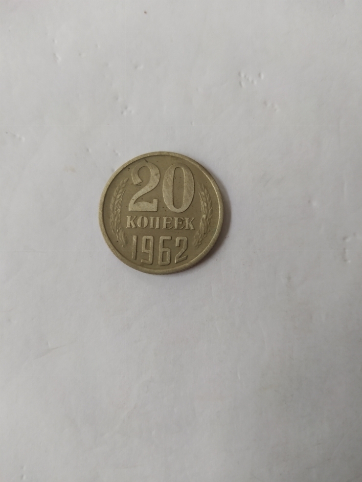 монета
