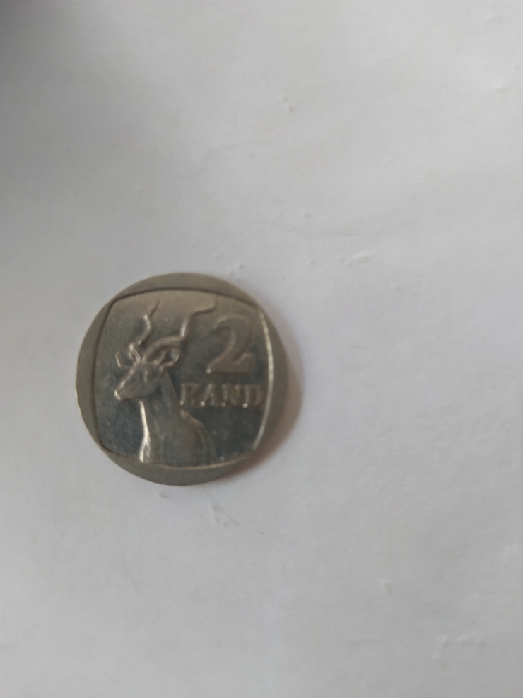 монета
