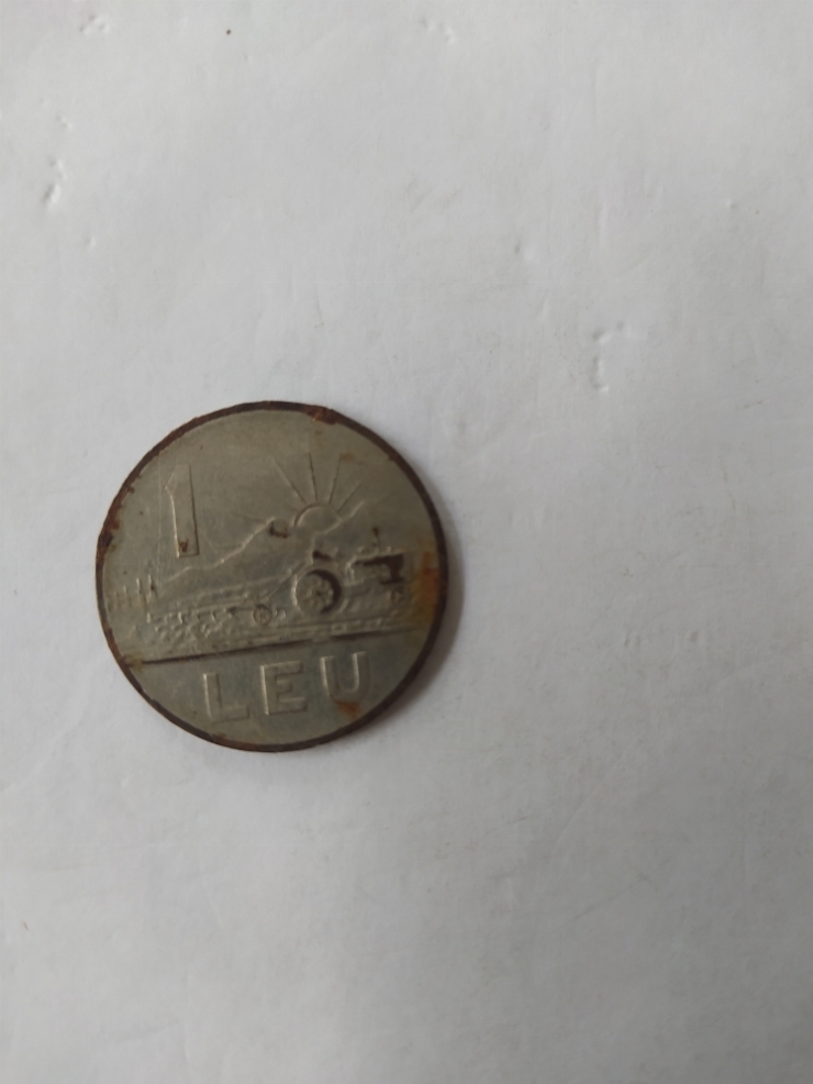монета