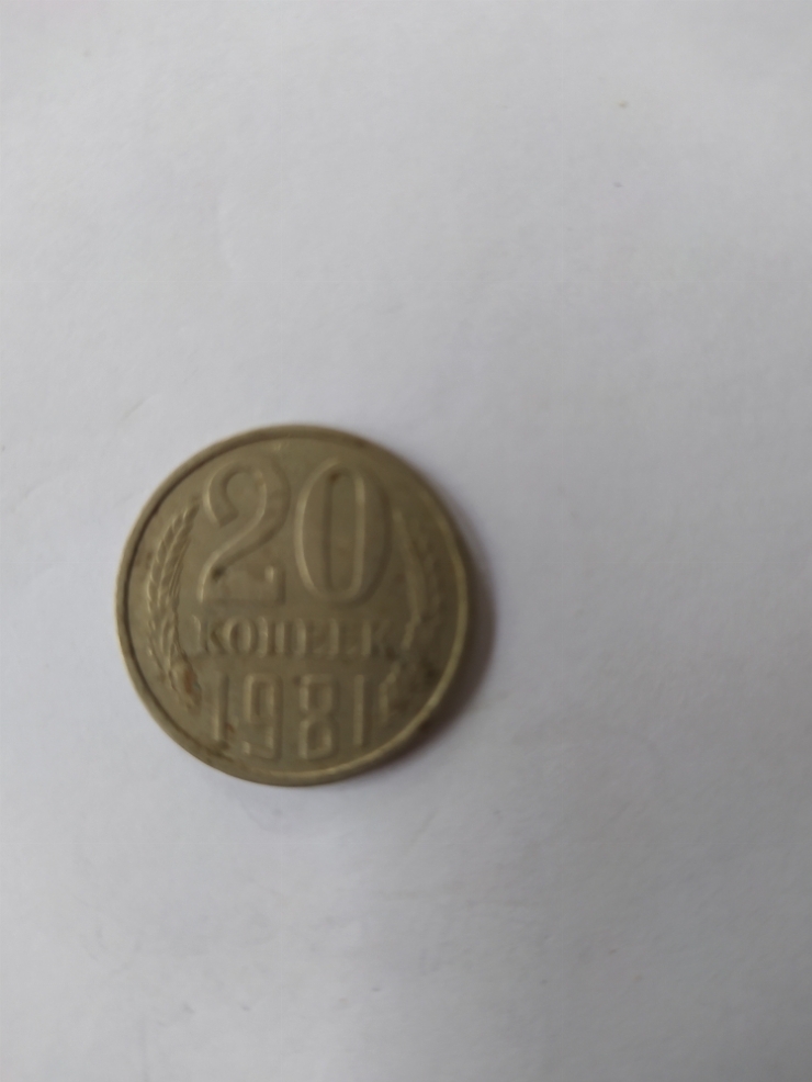 монета