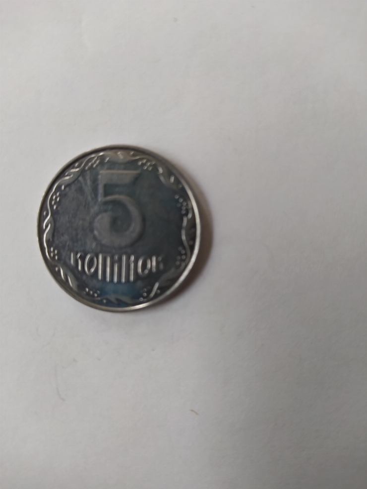 монета