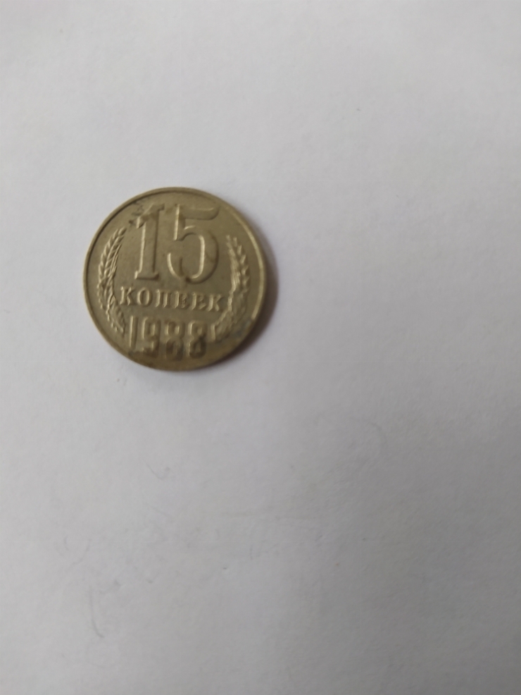 монета