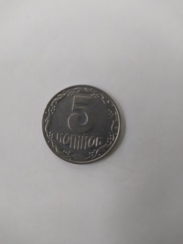 монета