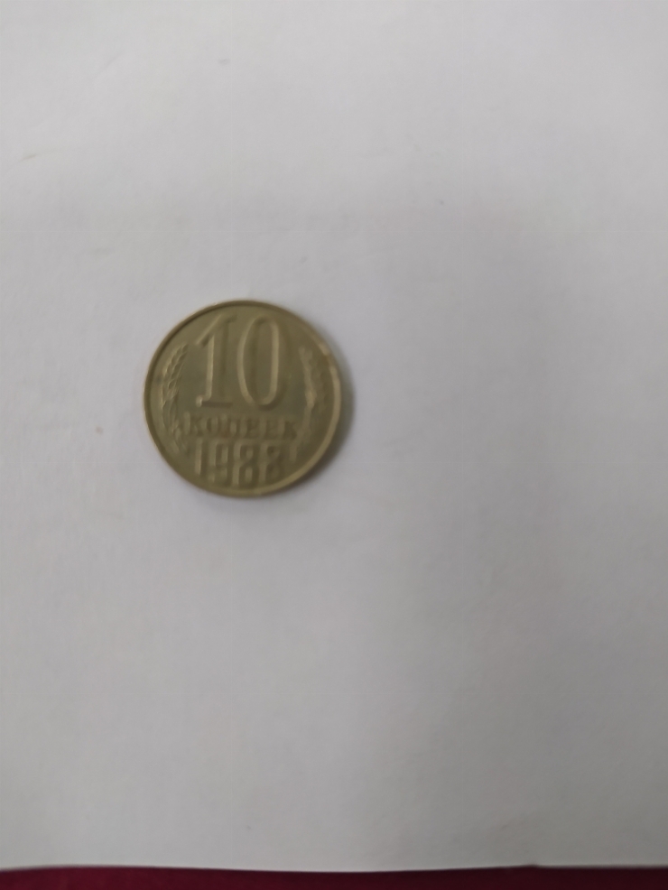 монета