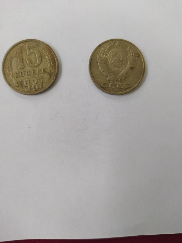 монета