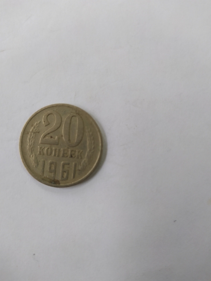 монета