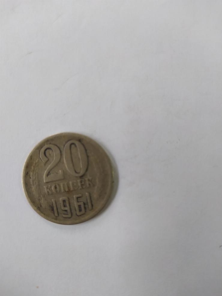 монета