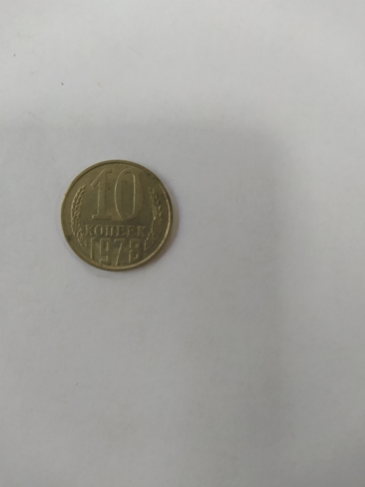монета