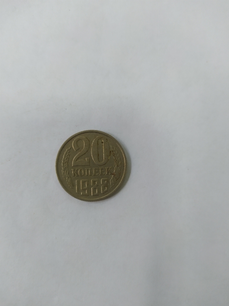 монета