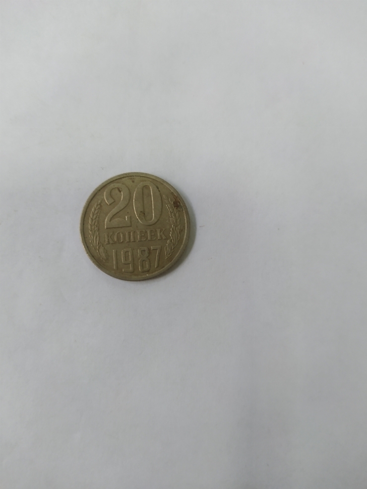 монета