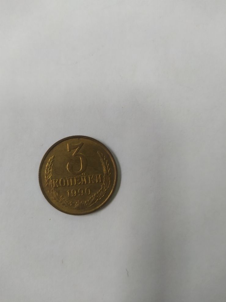 монета
