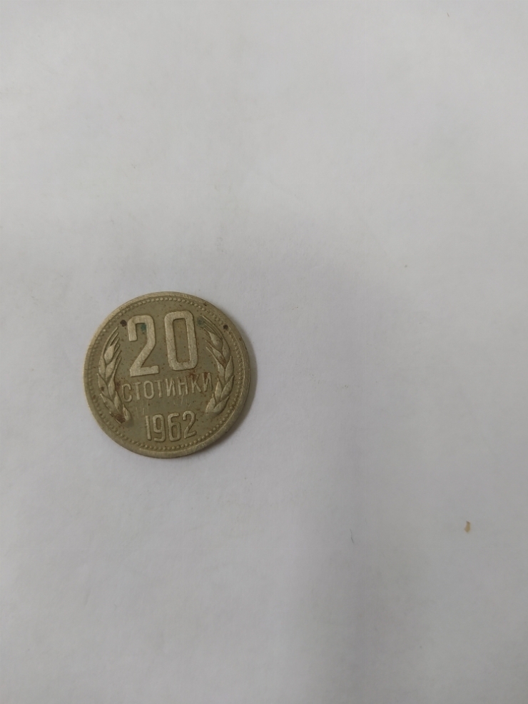 монета