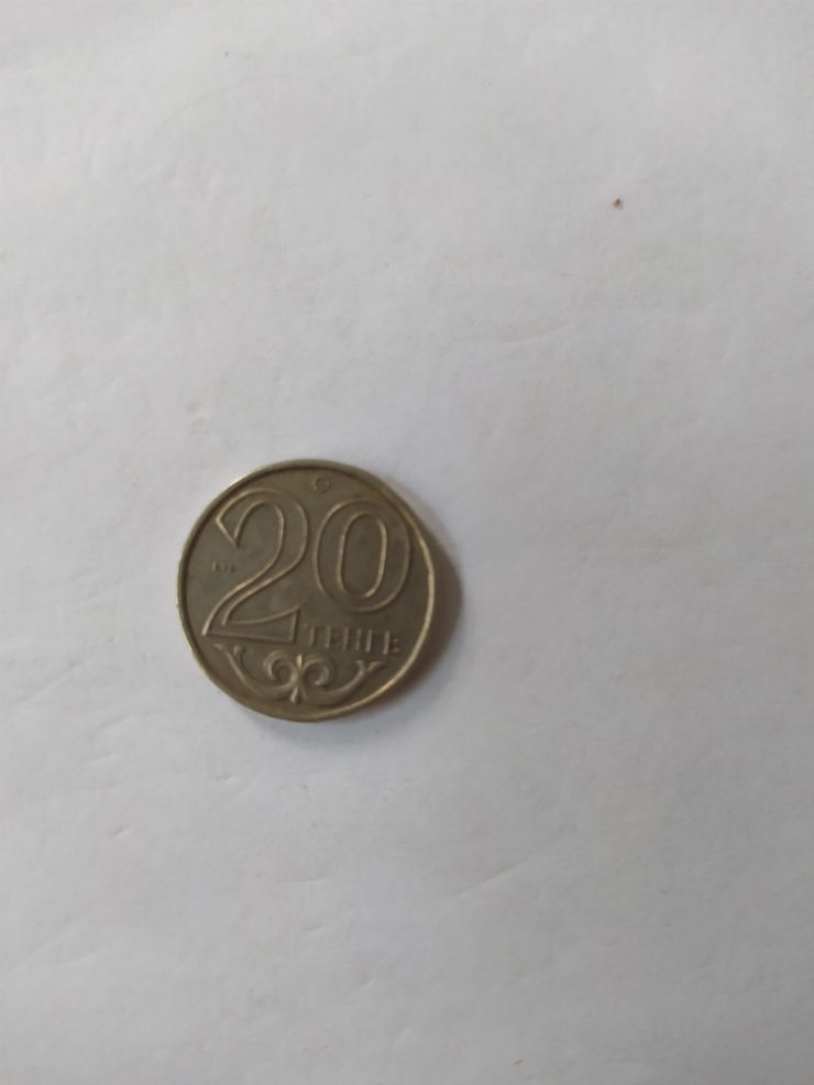 монета