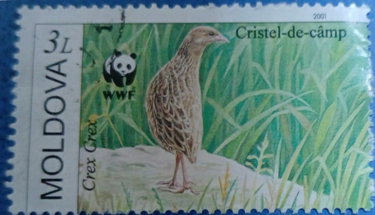Timbru poștal - „Cristel-de-câmp” 