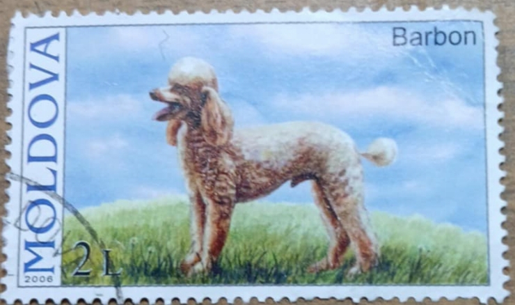 Timbru poștal - Barbon(Rasă  de câini)