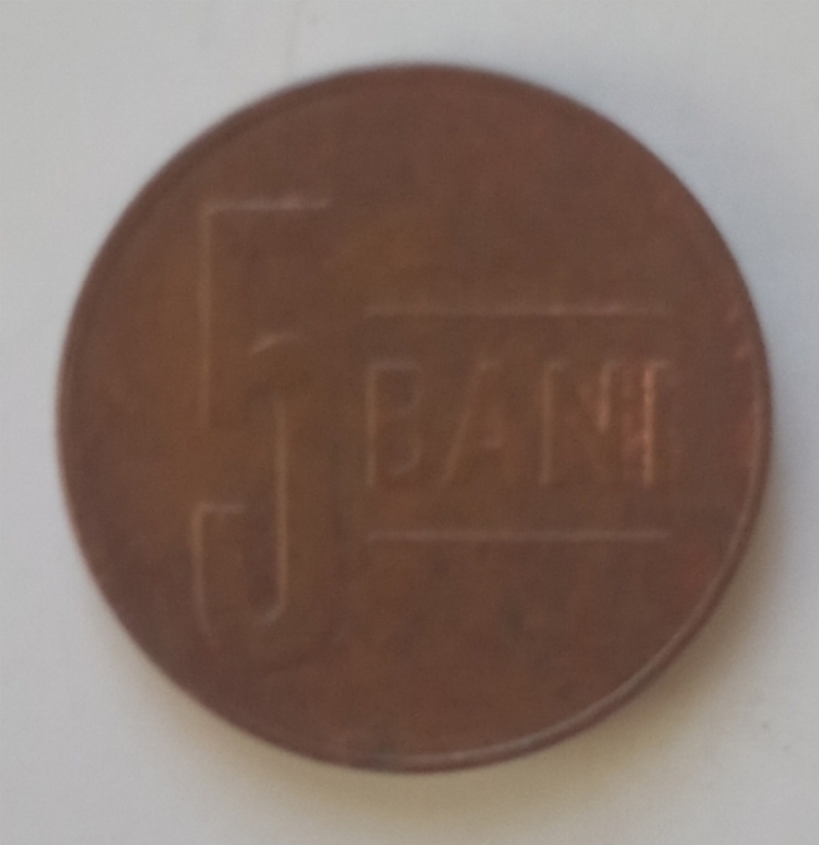 Monedă 5 bani