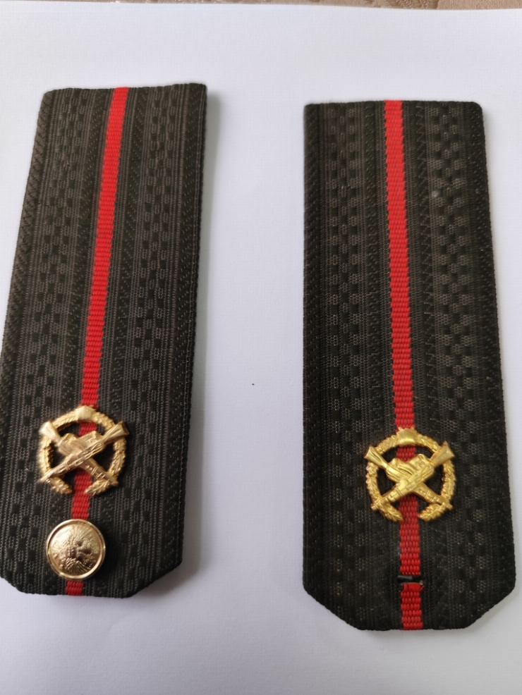 пагоны