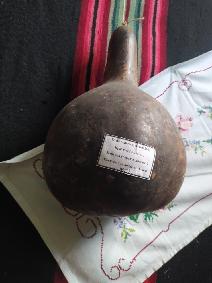 декоративная тыква