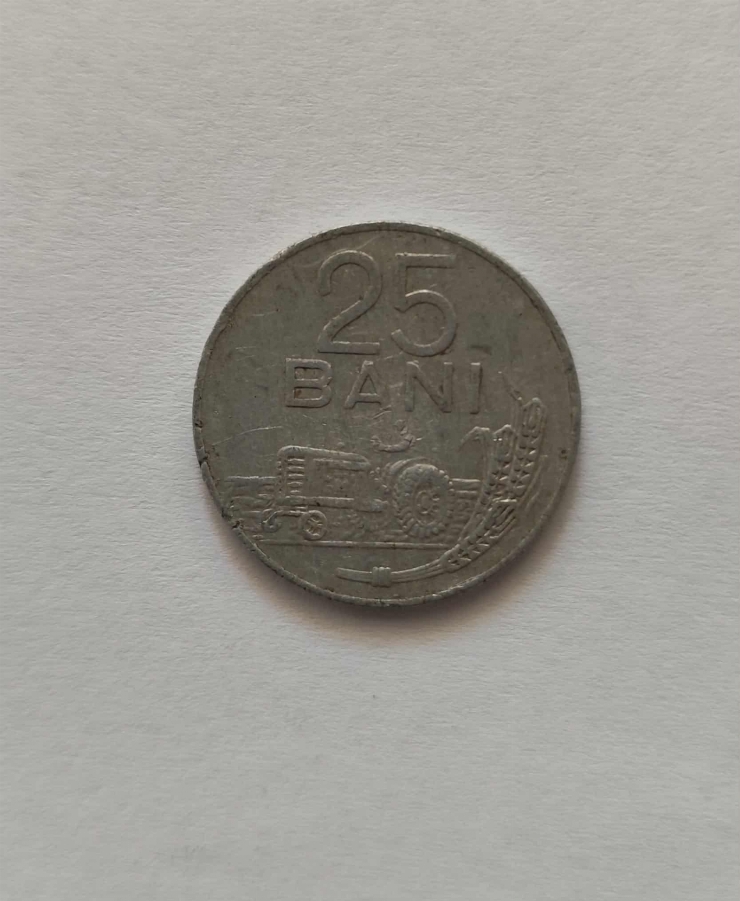 25 bani