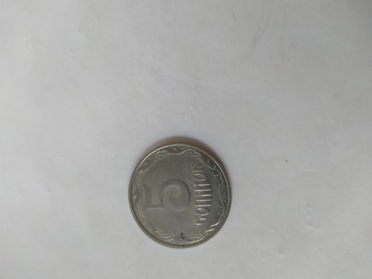 монета