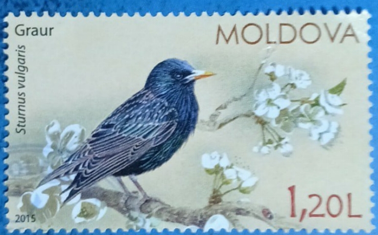 Timbru poștal – „Graur (Sturnus vulgaris)”